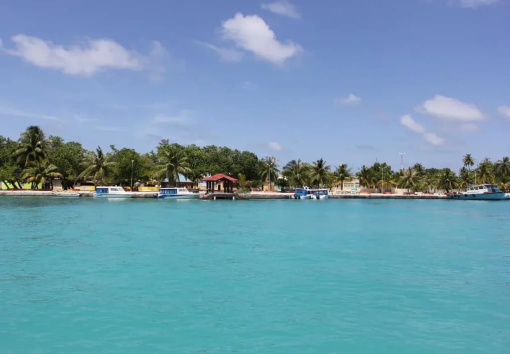 Pandanus Villa - Velidhu - photo 4