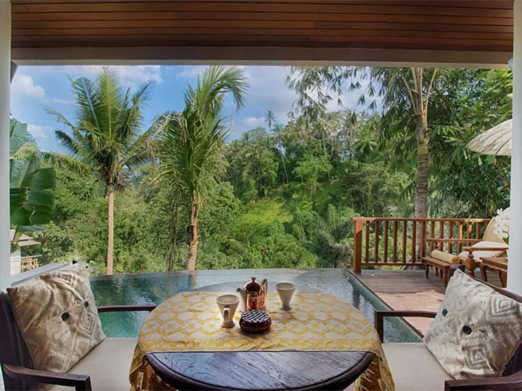 Natya Resort Ubud - photo 14