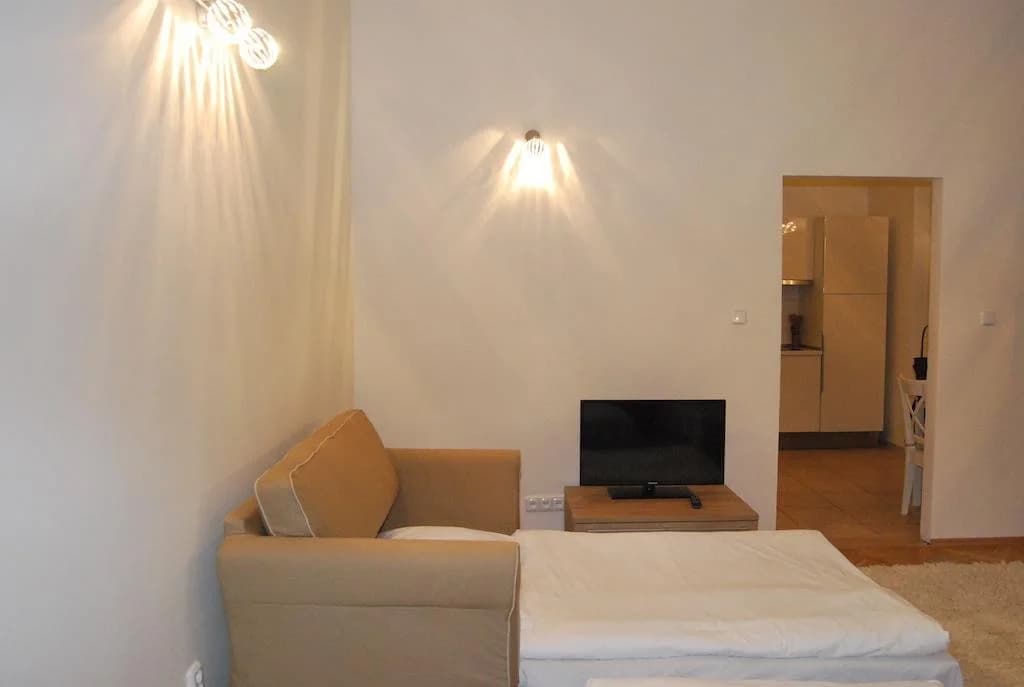 Hybernska Apartments - photo 5