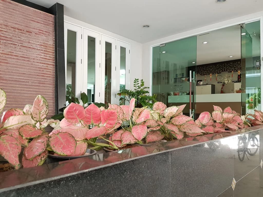 14 Place Sukhumvit Suites - SHA Plus - photo 28