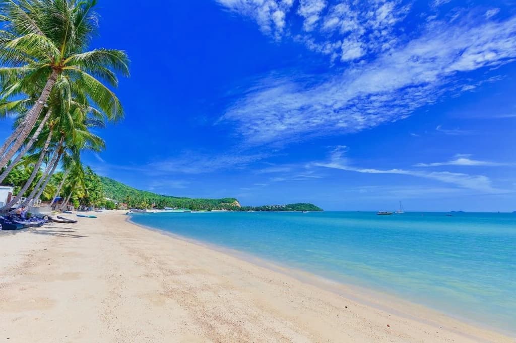 Kinnaree Resort - photo 12