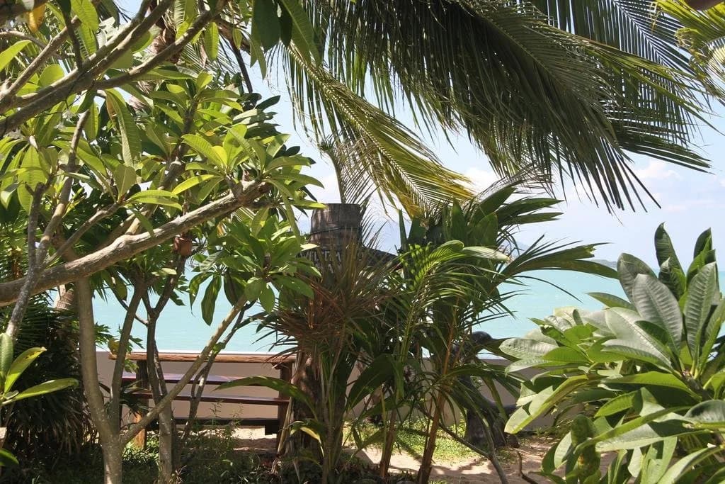 The Boardroom Beach Bungalows - photo 6