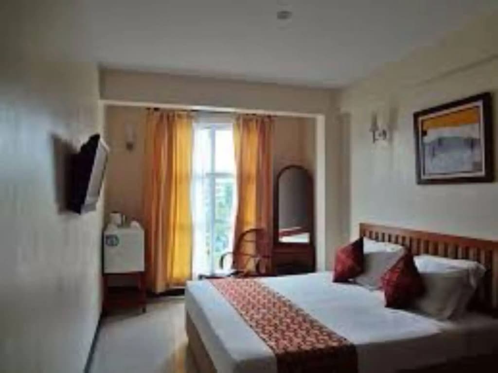 Baani Hotel - photo 2