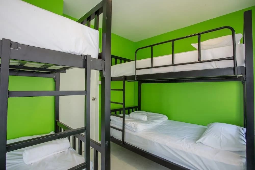 Why Not Hostel and Kitchen - photo 36