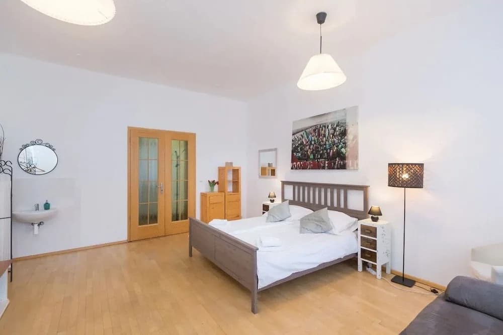 Spasious Apartment in Prague - photo 6