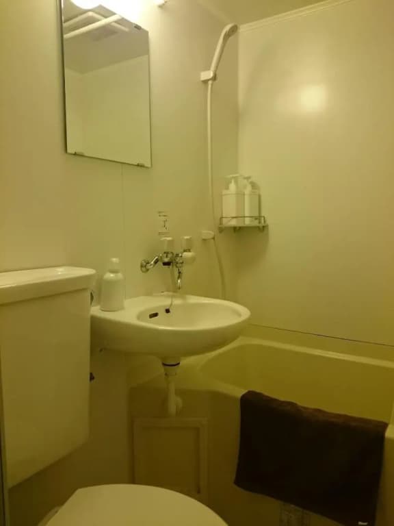 Hotel Fukudaya - photo 9