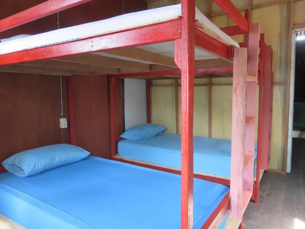 Homemade hostel - photo 2