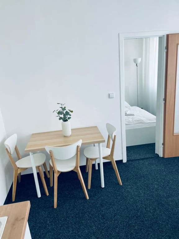 Apartmány Bryksova - photo 4