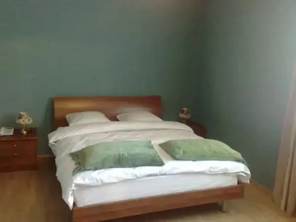 Muza Hotel - photo 4