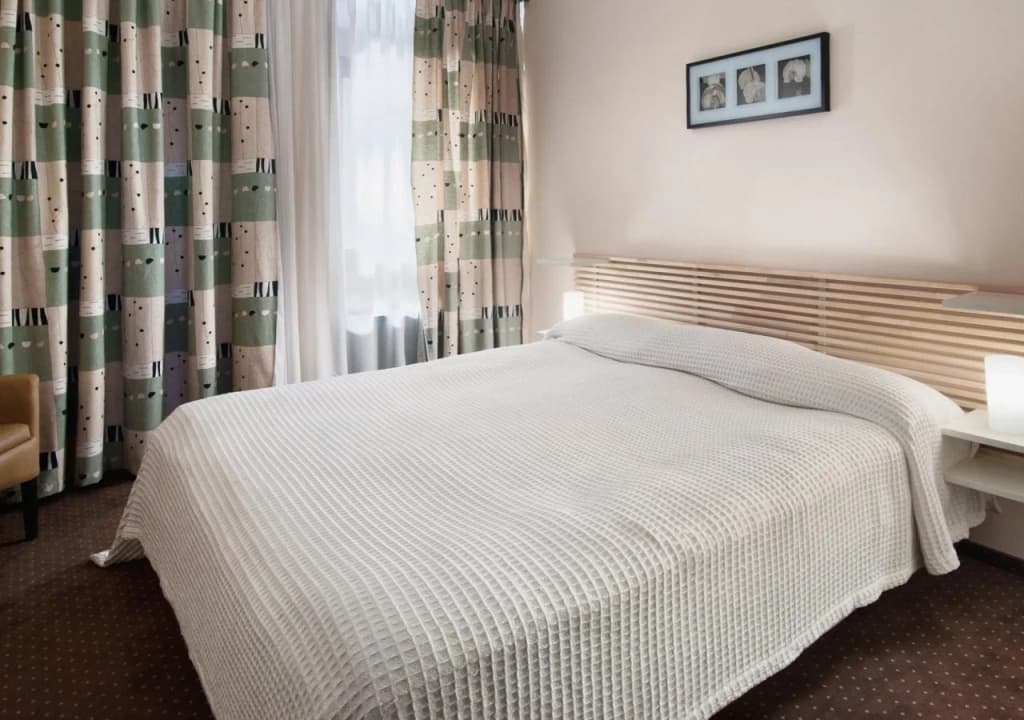 Rubin Wellness & Conference Hotel - photo 6
