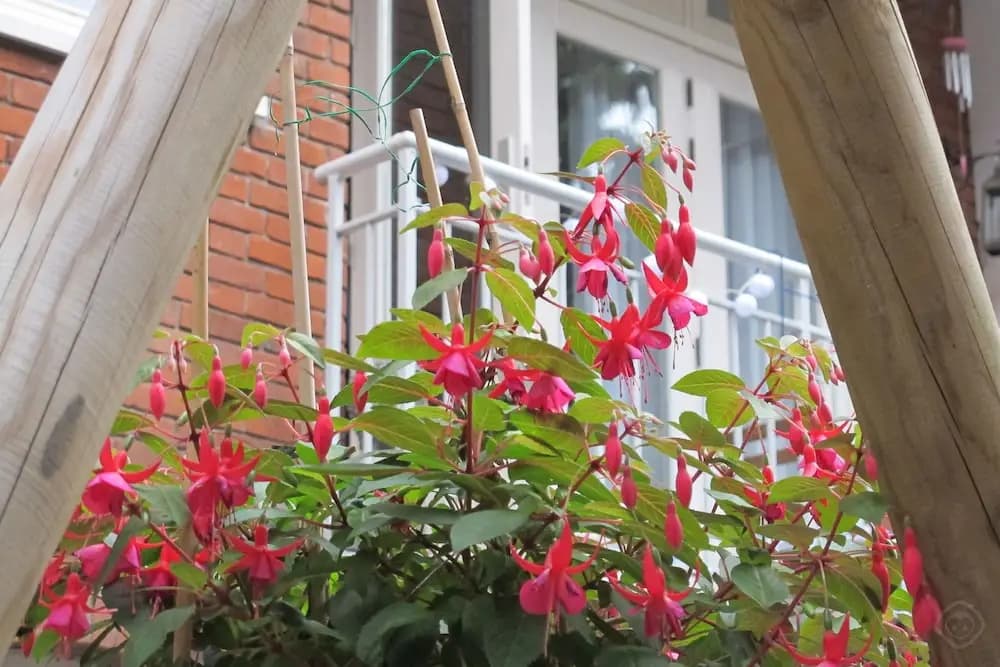 B&B West City Amsterdam - photo 12