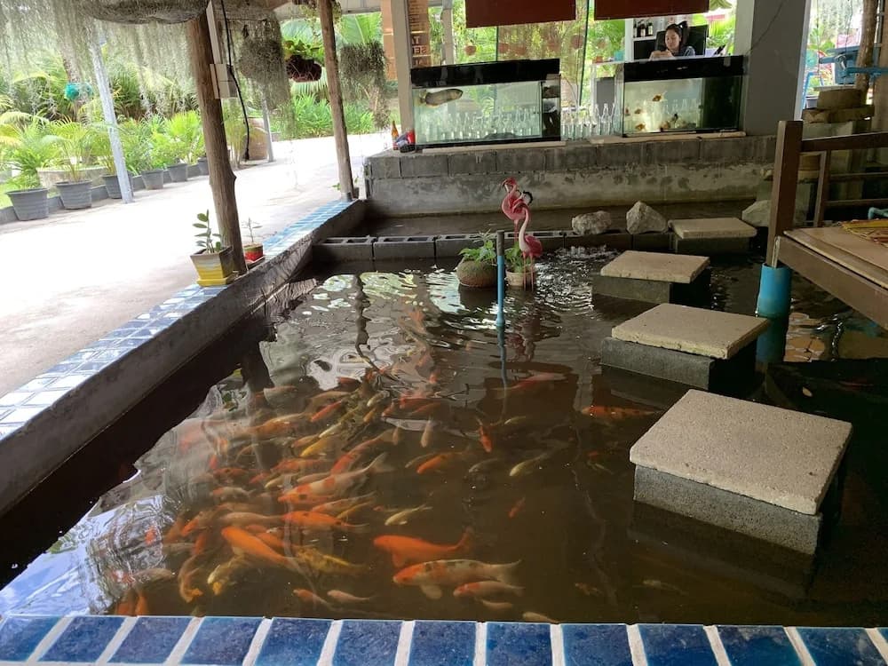 Eddy's Place - photo 12