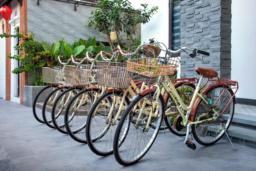 T & D Maison Hoi An - photo 19