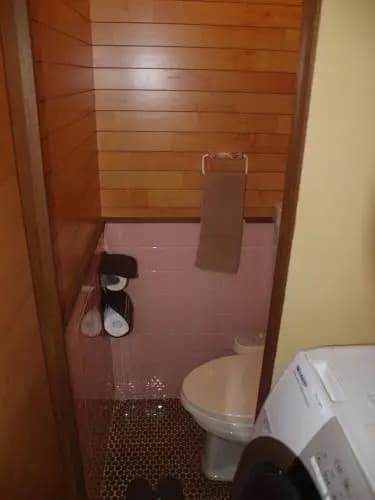 Kyomaru - photo 7