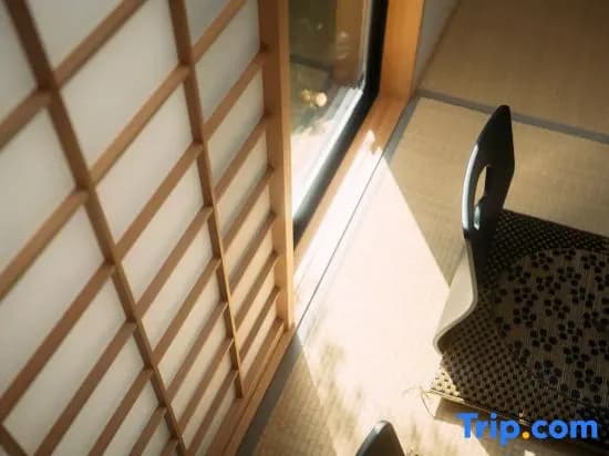 Hoshiya Ryokan Seinoyado - photo 5