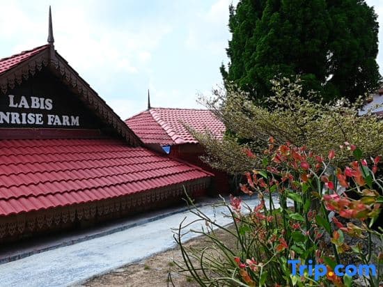 Labis Sunrise Farm Stay - photo 10