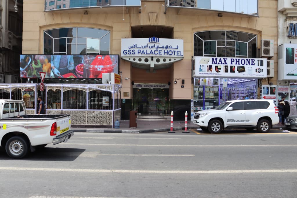 GSS Palace Hotel - photo 1