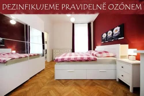 Historic Centre Apartments V - photo 3