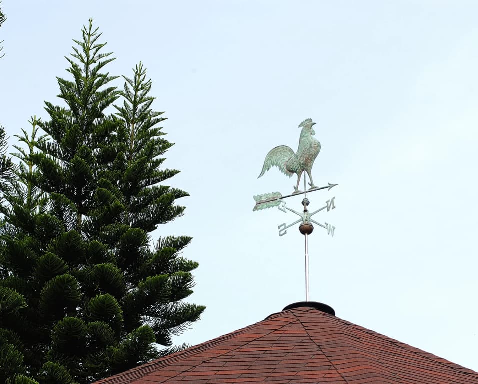 Century Pines Resort - photo 21