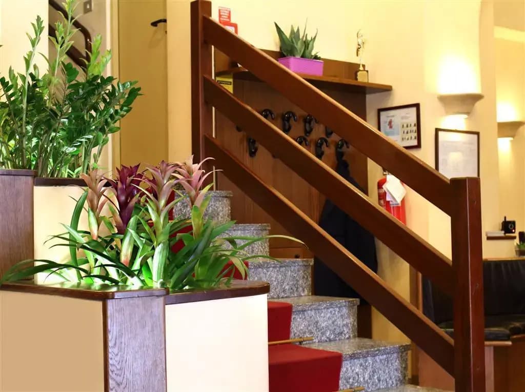 Pavone Hotel  - photo 11