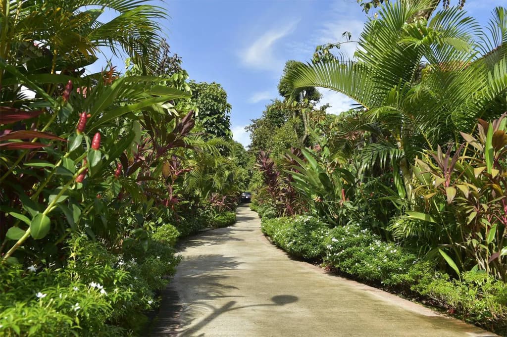 Rain Forest Resort Phu Quoc - photo 3