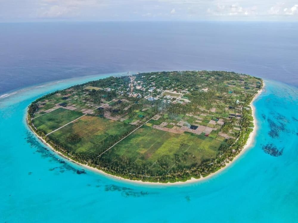 Hi Heaven Maldives - photo 18