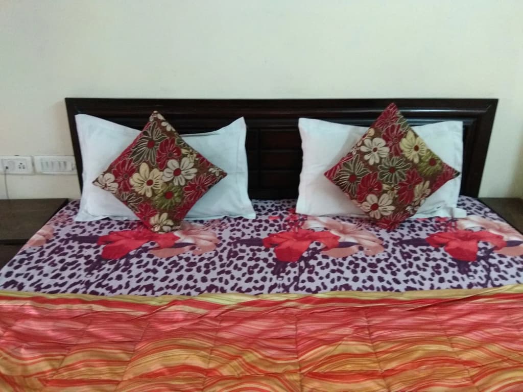 Hotel Apple Villa @ Paharganj - photo 6
