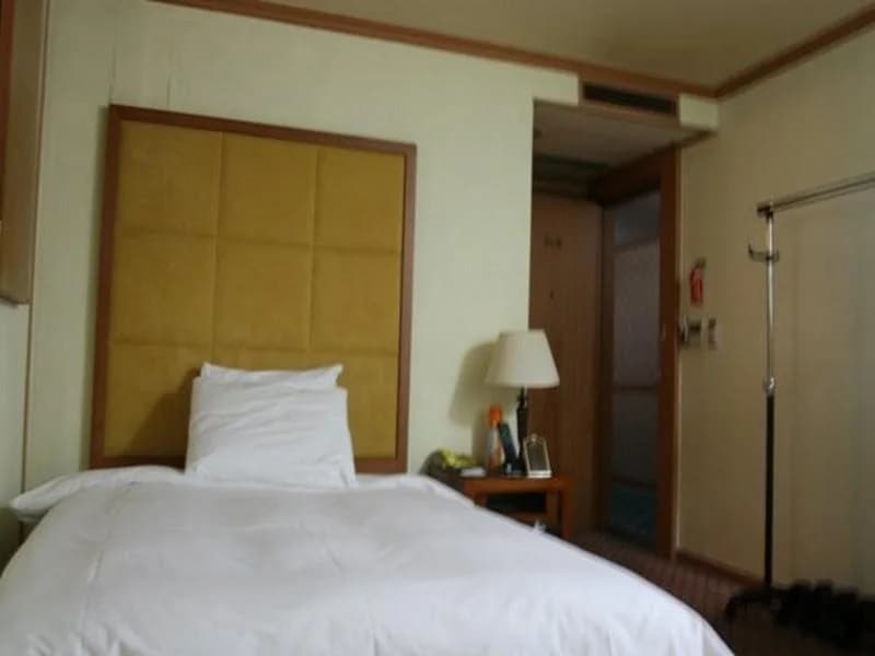 New Regent Hotel(뉴 리젠트 호텔) - photo 9