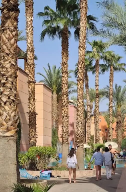 Riad Beni Youssef - photo 24
