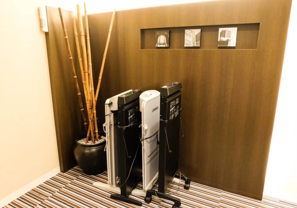 Via Inn Asakusa - photo 12