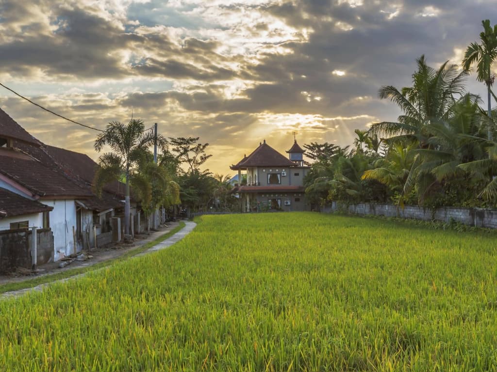 Arimba Resort Ubud - photo 14