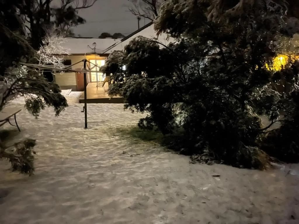 Scenic Cottage - photo 19