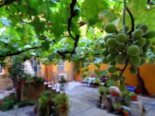 Apartment Olivar - photo 7