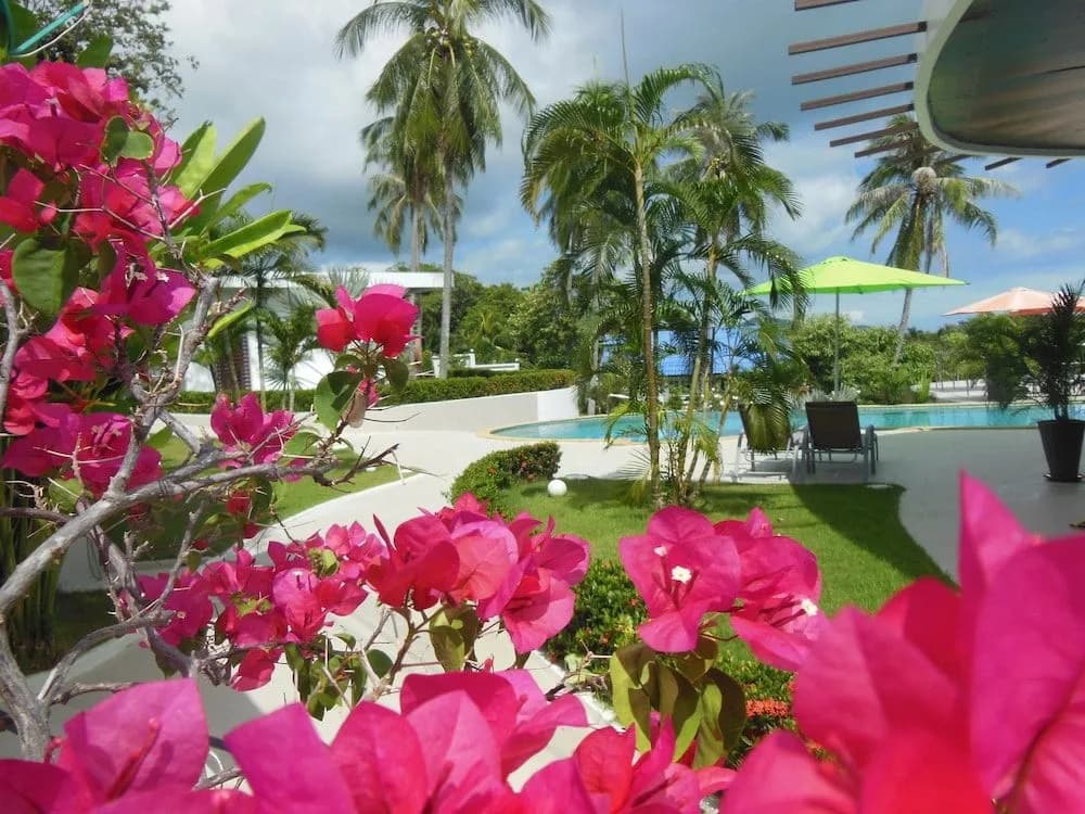 The Inspiration Residence - photo 11
