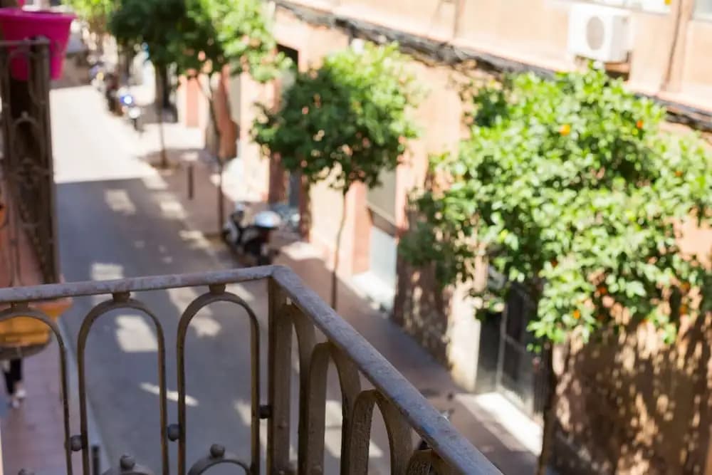 Gracia Sant Agusti - photo 12