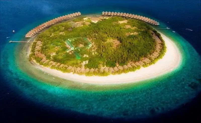 J Resort Alidhoo - photo 10