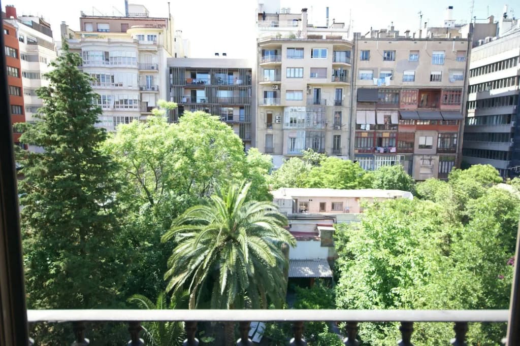 Flateli Mallorca - photo 15
