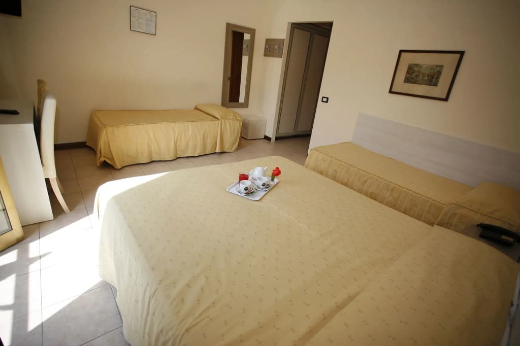 Hotel Adler - photo 8