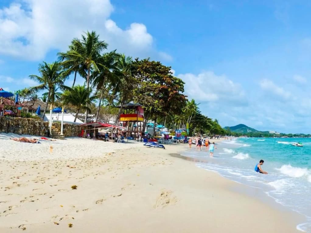 Chaweng Resort (SHA Extra Plus) - photo 17