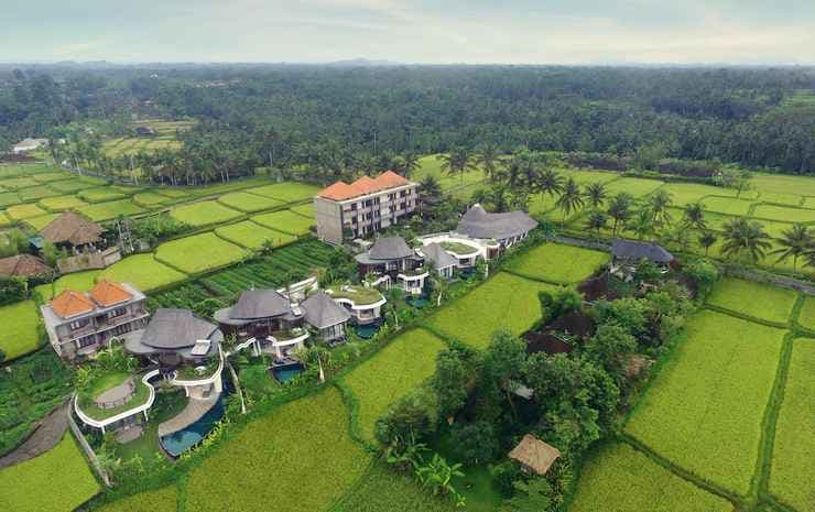 Mango Ubud - photo 23