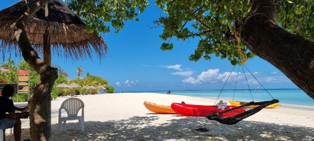 Gurus Maldives at Gulhi Island - photo 15