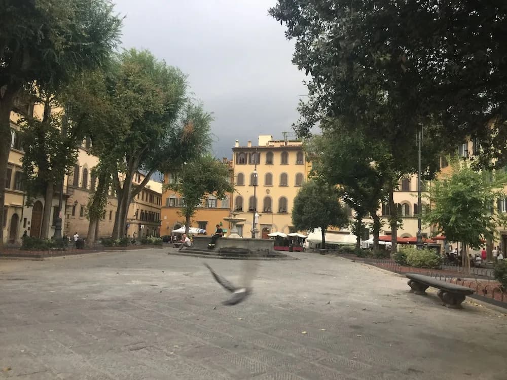 Like a local in Oltrarno - photo 12