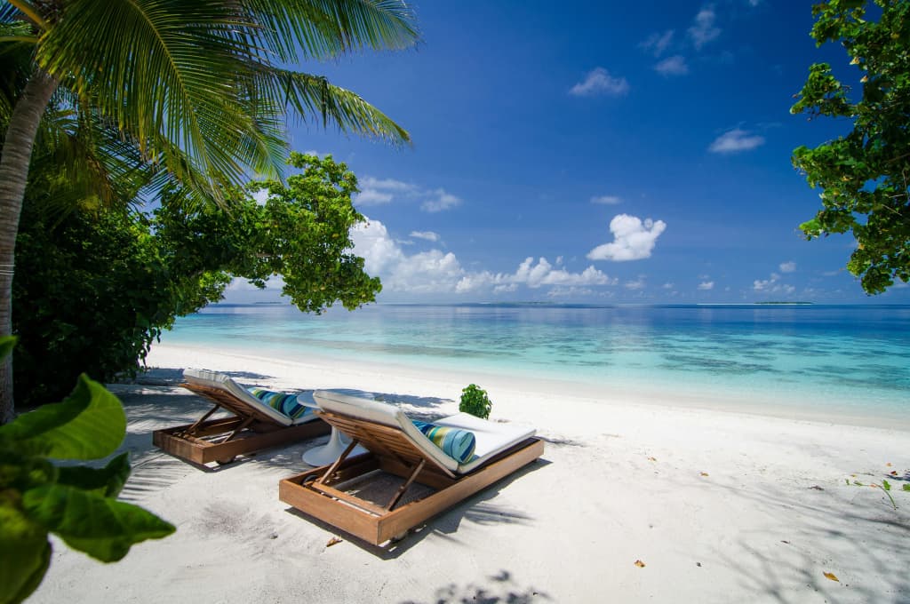 Amilla Maldives Resort - photo 28