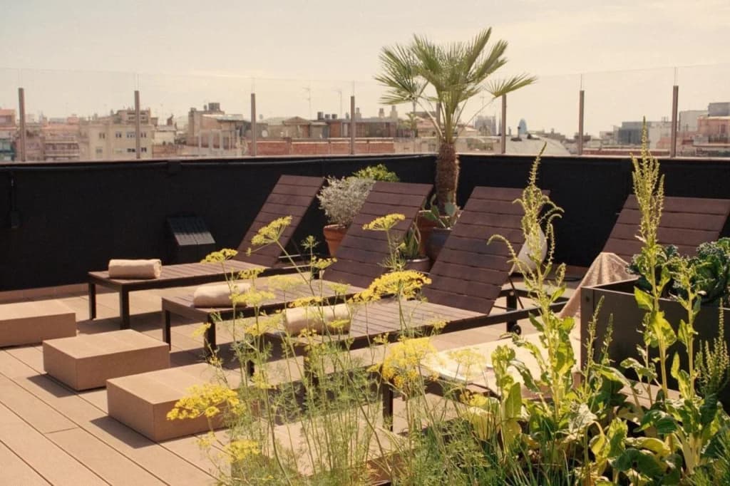 Pol & Grace Hotel - photo 16