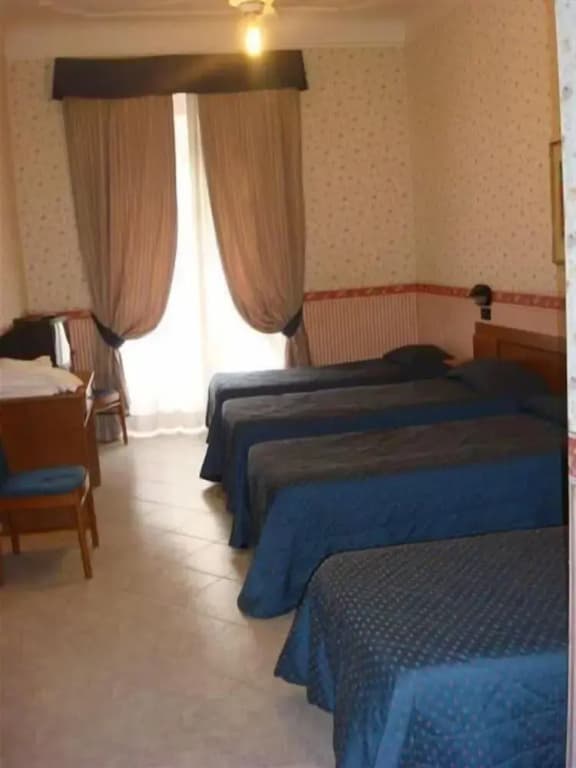 Hotel Demetra Capitolina - photo 37