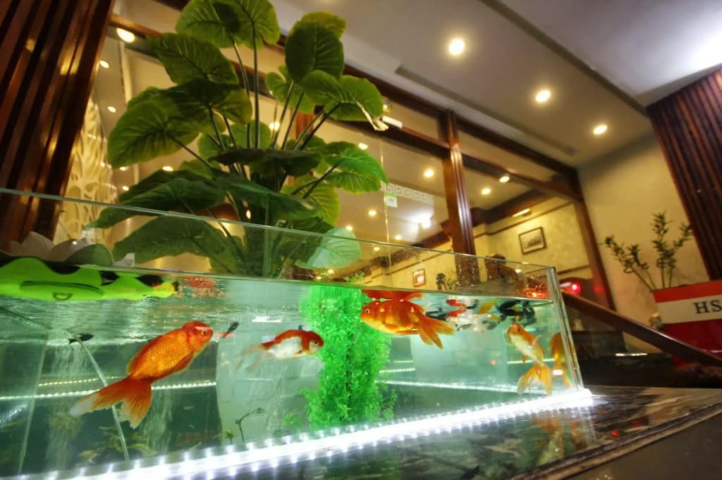 Romantique Hotel De Hanoi - photo 13
