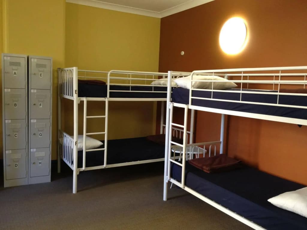 Tiger Hostel Sydney - photo 3