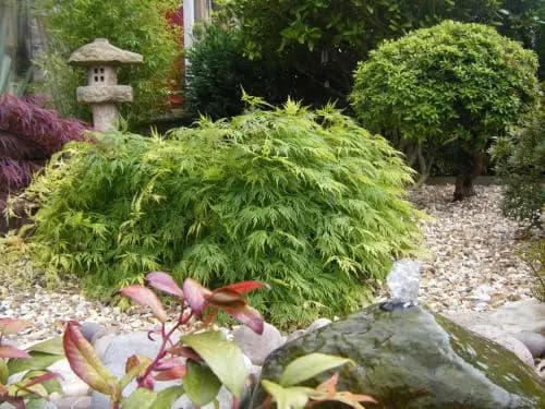 AmarAgua Guest House - photo 13