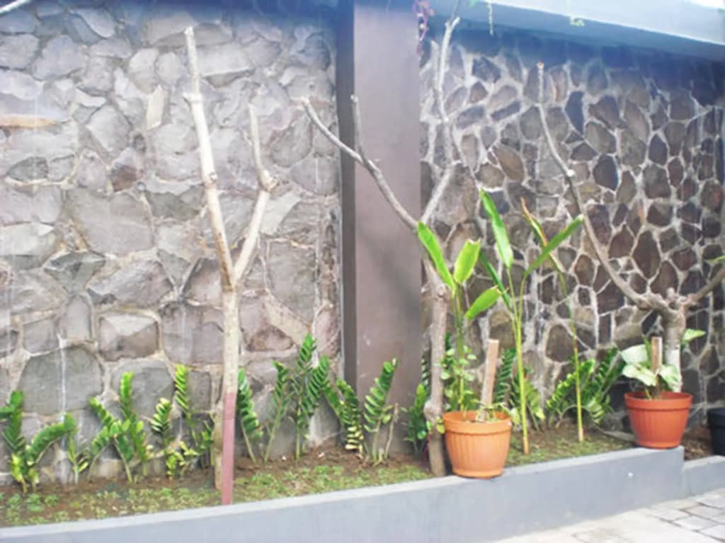 NB Bali Guest House - photo 16