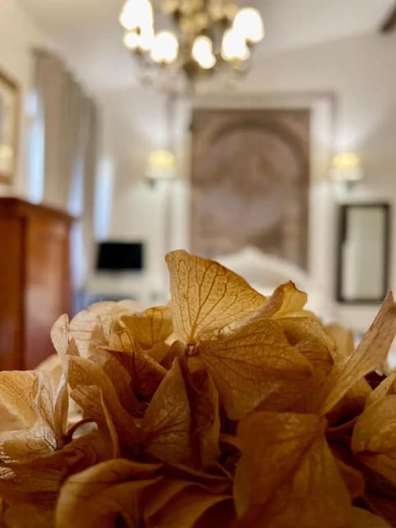 Cestello Luxury Rooms - photo 31